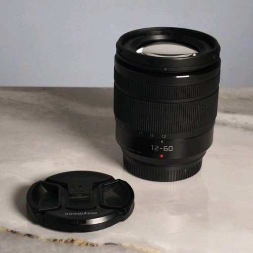 Panasonic lumix vario - g,