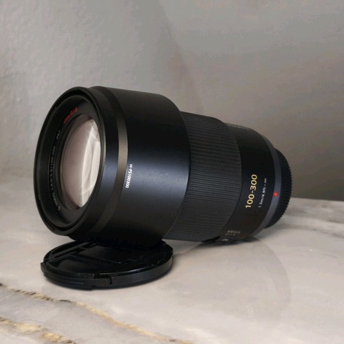 Panasonic lumix vario - g,